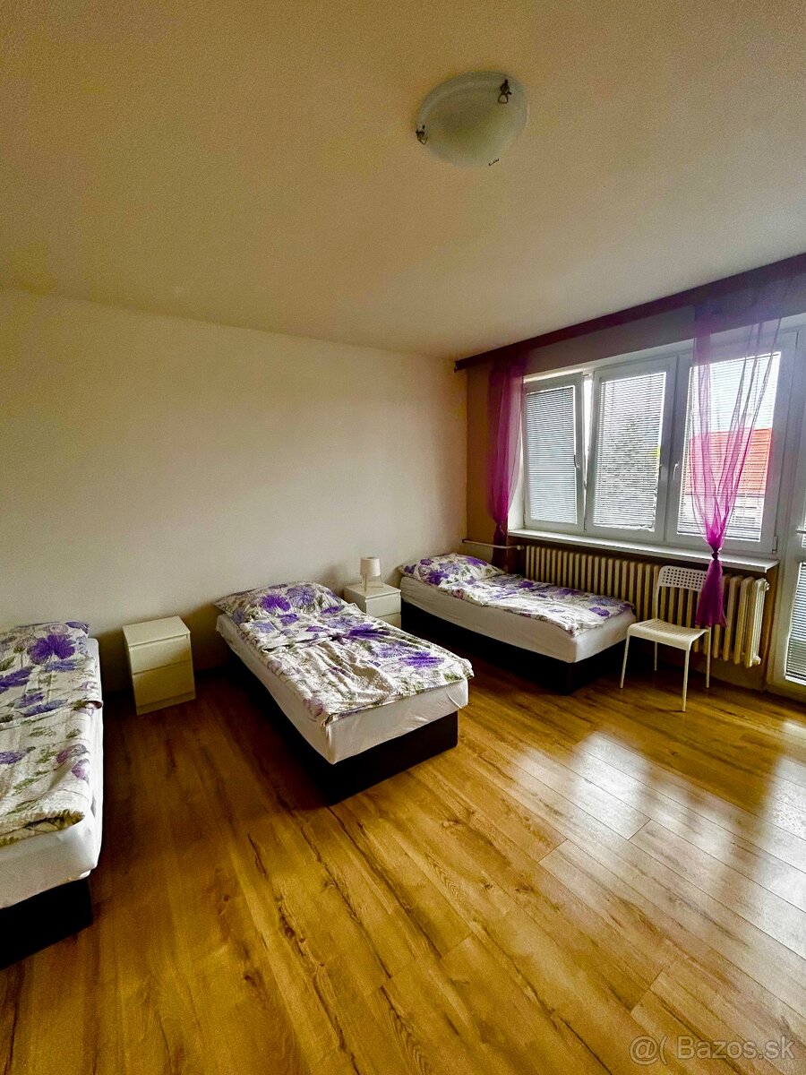 Prenájom viacerých jednotiek v Čakajovciach - 8