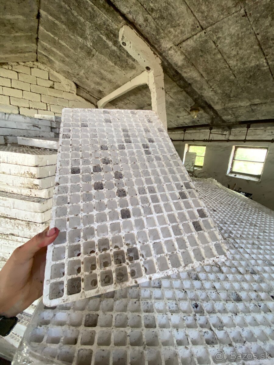 Sadbovač na planty - 8