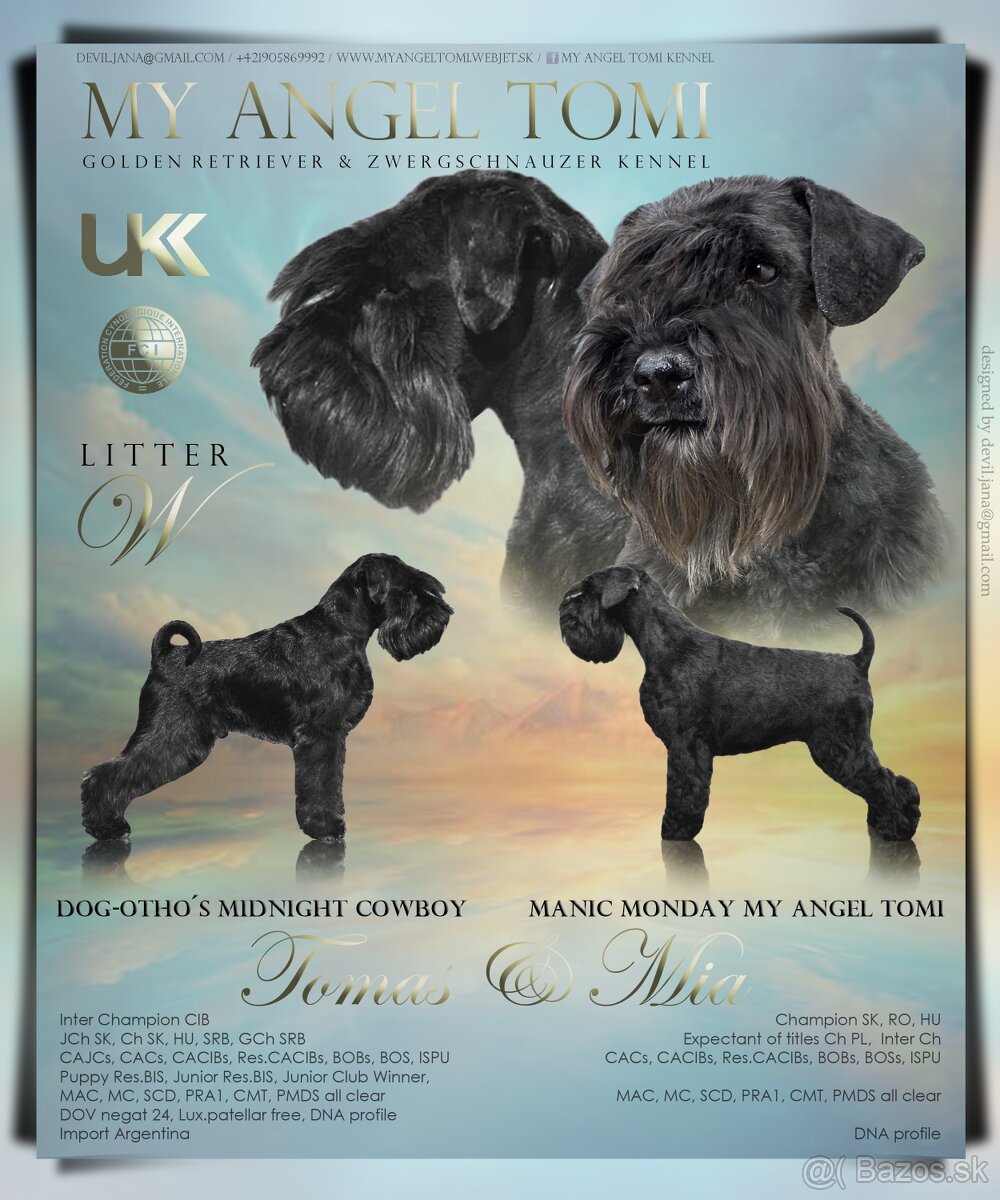 Bradáč malý - šteniatka s PP - 8