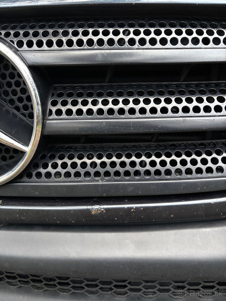 Mercedes MLW163 270cdi - 8