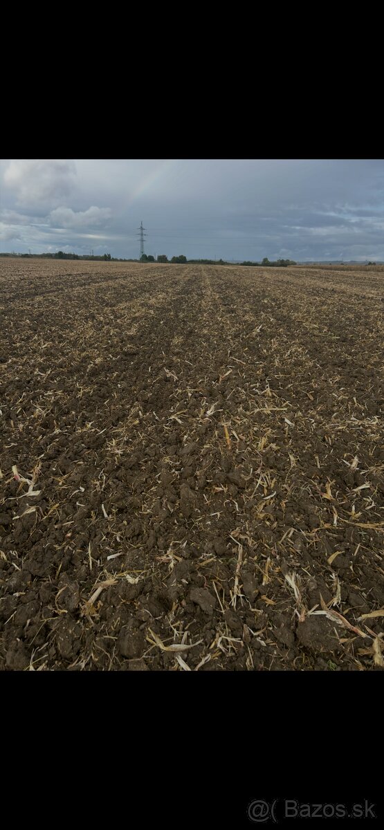 Lemken Rubin 9/500 - 8