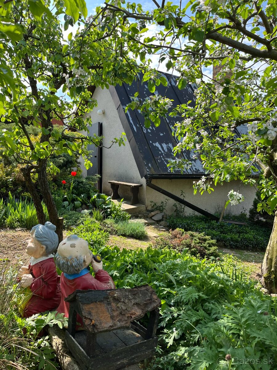 PREDAJ - Viničný dom s vinicou, Staré Predné Levice - 8