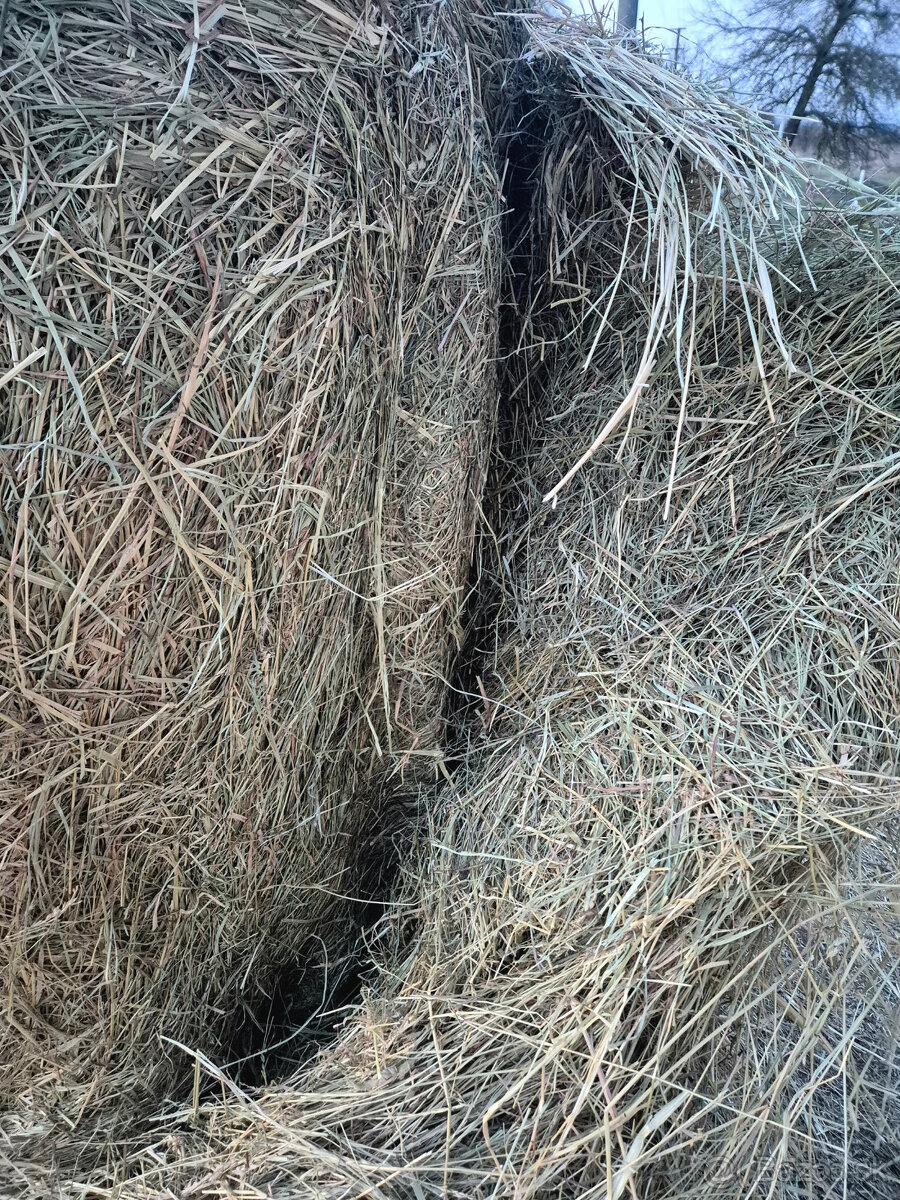 seno okrúhle balíky 130x130 - 8