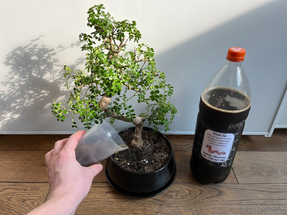 Dážďovkový čaj - 1L - 8