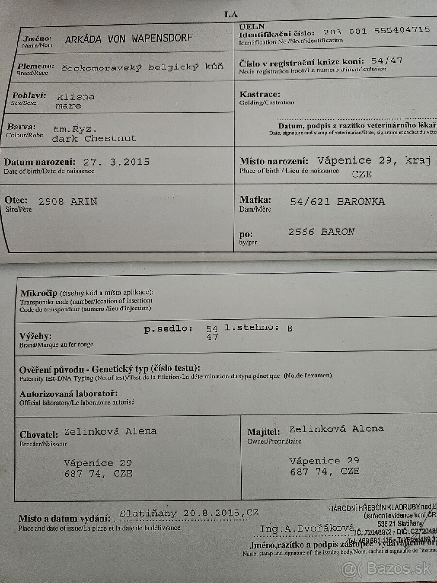 Predám kobylu zo žrebčekom - 8