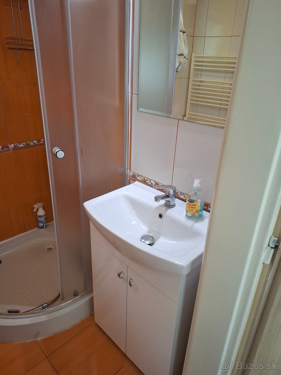 Prenajmem byt v RD LUŽIANKY - 8