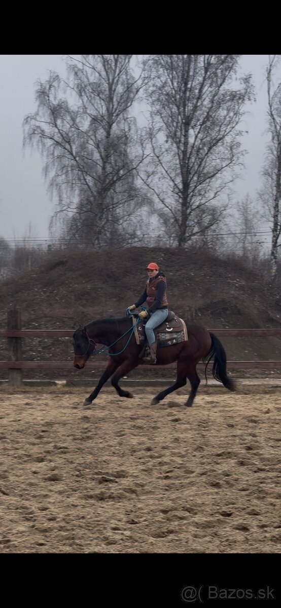 tréning koní - obsadanie - 8