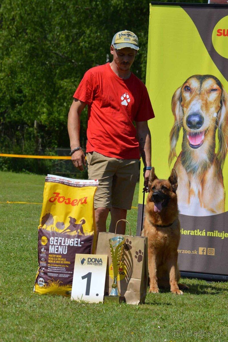 Nemecký ovčiak - 8