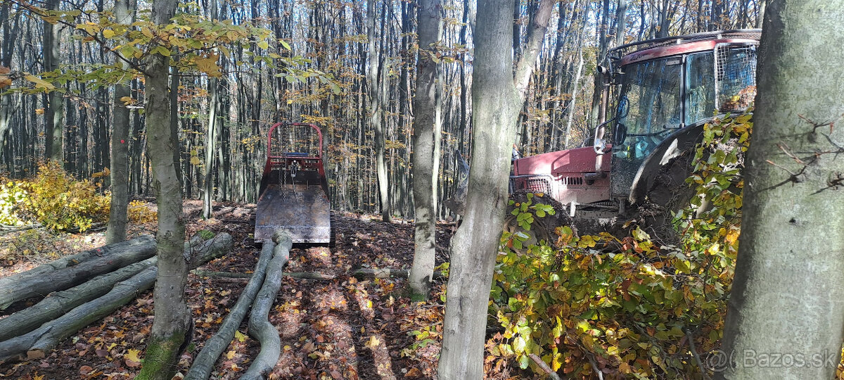 Tažba dreva - 8