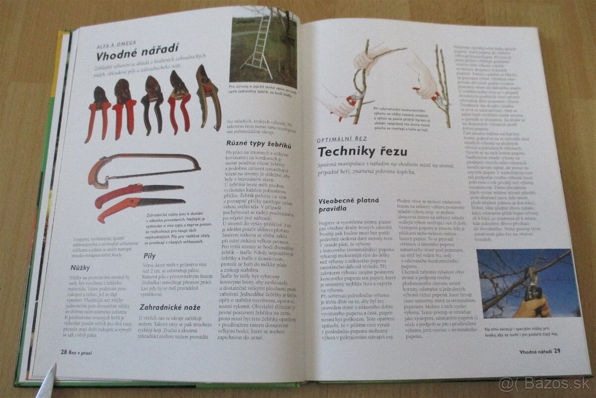 Řez ovocných stromu a keřu - 8