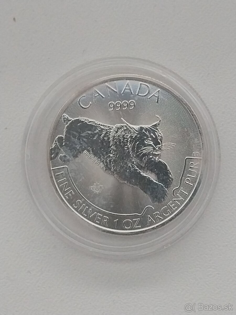 Strieborne investičné mince 1 OZ - 8