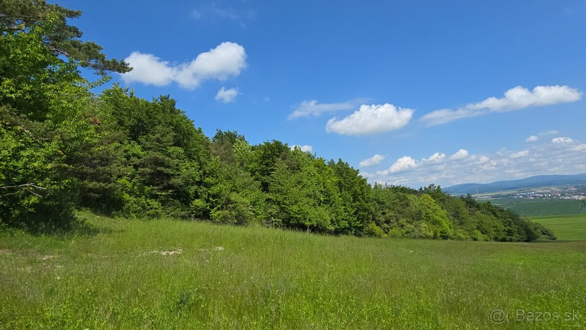 Predám lesný pozemok k.ú. Turá Lúka 4061m2 - po 0,73€/m2 - 8