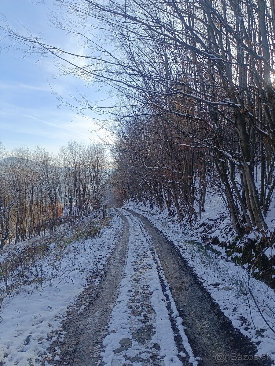 Pozemok Dunajov-Potoky na chov alebo pestovanie drevín - 8