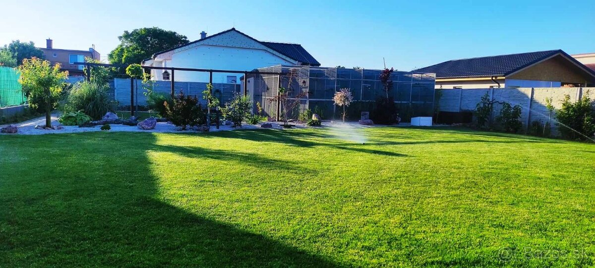 Žako kongo maznáčikovia - 8