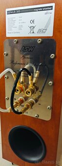 ASW genius reference 300 - 8