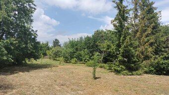 Predaj krásnej rovinatej záhrady s ovocnými stromami. - 8