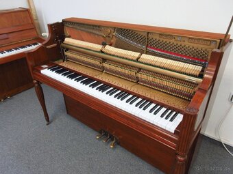 nádherné americké piano za Super cenu s All inclusive - 8