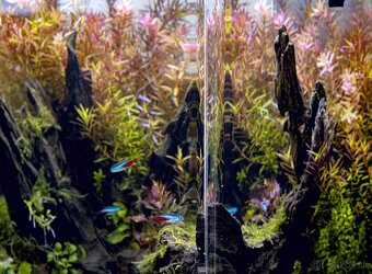 AquaEl akváriová súprava OptiBent 30 čierna 29 l - 8