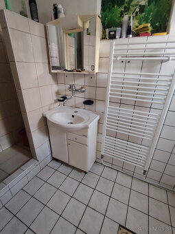 Prenájom 4 izbový dom v centre mesta Šurany - 8