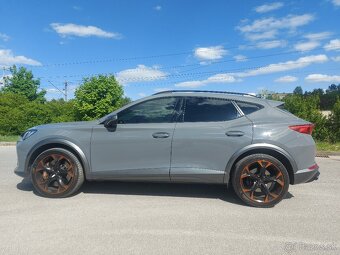 Cupra Formentor 2.0 TSI 310k 4Drive DSG Veloz - 8