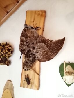 Koncim s polovnictvom - 8