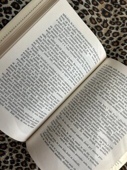 Let do srdce - Günter Herburger rok 1982 - 8