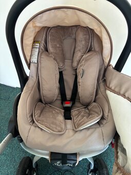 Kocik Takko Mohican - 8