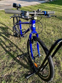 Frog 62 Electric Blue - 8