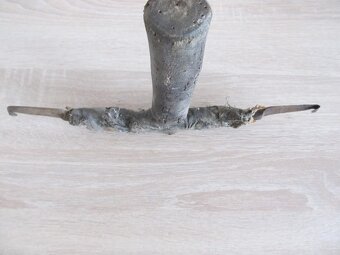 Predám starý cca 95 ročný " pahovník" - 8