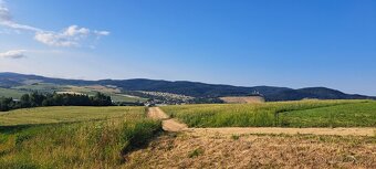 Chata so záhradou na prenájom - 8