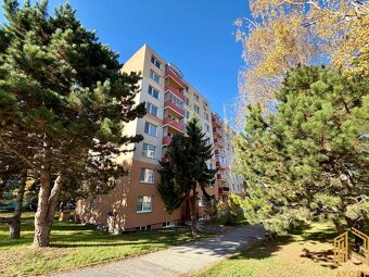 NA PREDAJ 1-IZBOVÝ BYT (37m2), SENICA, HVIEZDOSLAVOVA UL. - 8