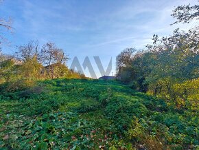 13 ÁROVÝ POZEMOK PRI KOMÁRNE S VÝHĽADOM NA JAZIERKO - 8