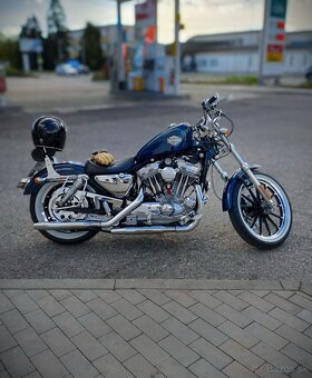 Harley Davidson Sportster 1200 - 8
