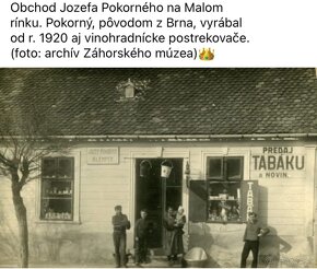 Vinohradnícky injektor Skalica, Pokorný - 8