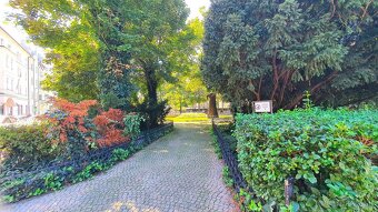 Exkluzívny 4-izbový byt v secesnom dome s výťahom – Šafáriko - 8