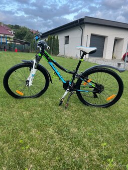 Kellys kiter 50 - 8