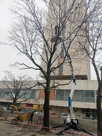 Výrub stromov, pílenie stromov, orez stromov, arboristika - 8