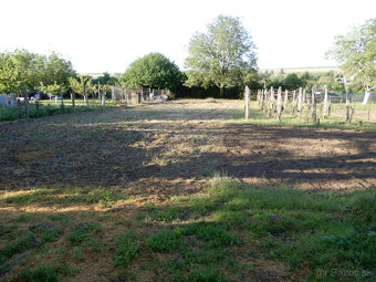 Rodinný dom, 130 m2, garáž, letná kuchyňa, Farná, okr. Levic - 8