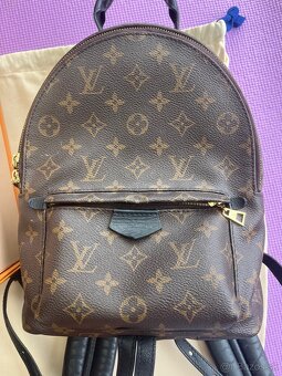 Louis Vuitton Palm Springs PM Backpack - 8