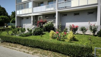 1 izbový byt na Juhu - Turgenevova ul.(pri nemocnici) - 8
