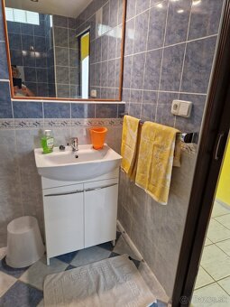Prenajmem zrekonštruovaný 1-izb.byt v centre - 8