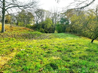 NA PREDAJ - 2 pozemky v obci Herľany – časť Žírovce - 8