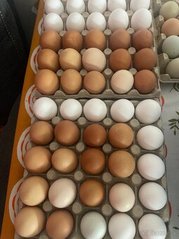 Slepačie vajíčka - 8