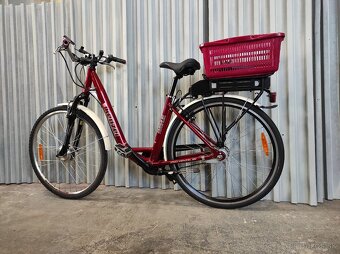 ebike Kennzel - 8