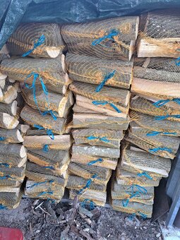 Predaj vrecovaneho palivoveho dreva - 8