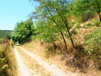 NA PREDAJ: Pozemok (rekreačný) 1000m2, ulica Stará Stupavská - 8