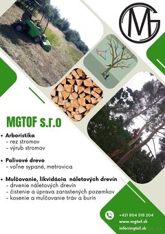 Rizikové pílenie stromov - 8