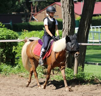Predám pony kobylku - 8