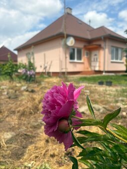 PREDAM RD V ŠTEFANOVIČOVEJ PRI nITRE - 8