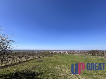 Pozemok s nádherným výhľadom na Skalicu–vinohrad so sklepom - 8